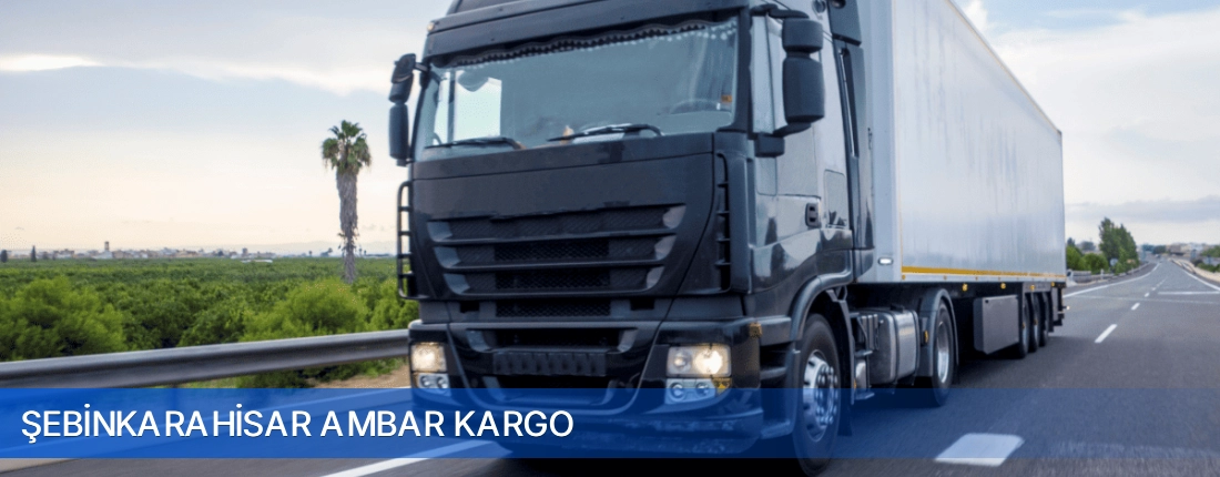 Şebinkarahisar Ambar Kargo Şebinkarahisar Ambar Kargo